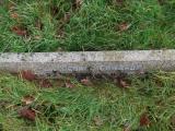 image of grave number 616266